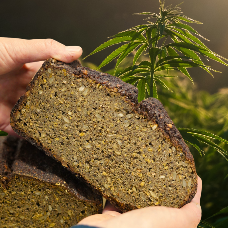 BIO Kaņepju miltu maizes maisījums ar ieraugu (350g)