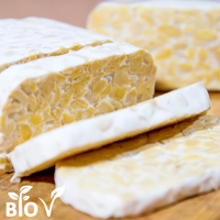 BIO Tempe