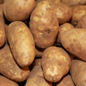 BIO Kartupeļi